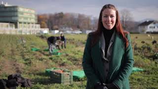 Qu’est-ce que la critique écologique ?