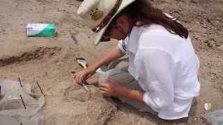 Stony Brook Team Finds Earliest Stone Tools