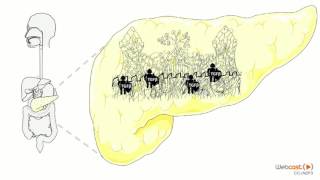 Victoire CARDOT, candidate Ma thèse en 180 secondes-Finale Université de Lyon